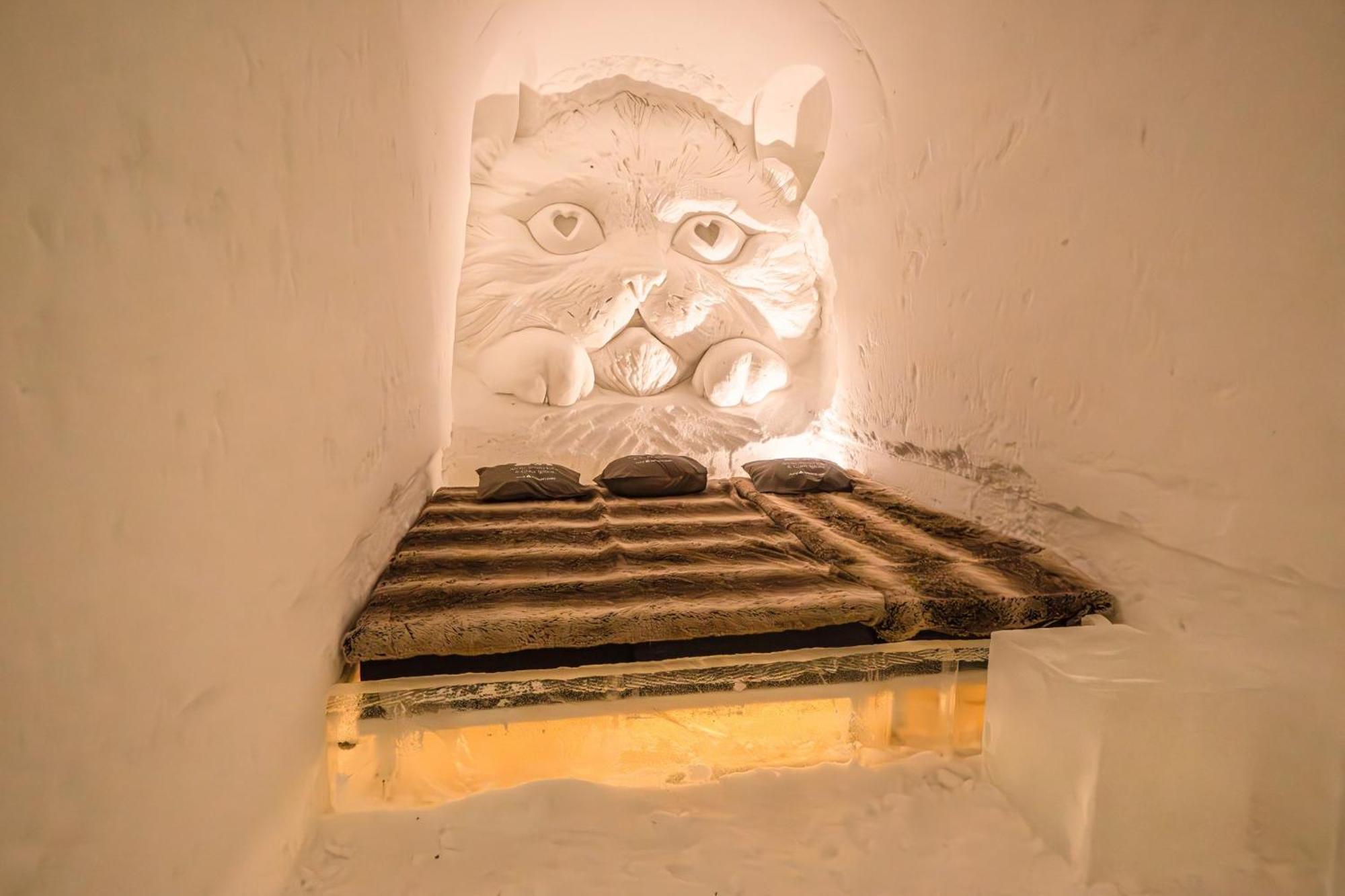 Arctic Snowhotel & Glass Igloos